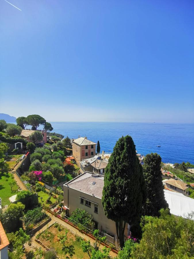 Marenostrum Pieve Ligure Bagian luar foto