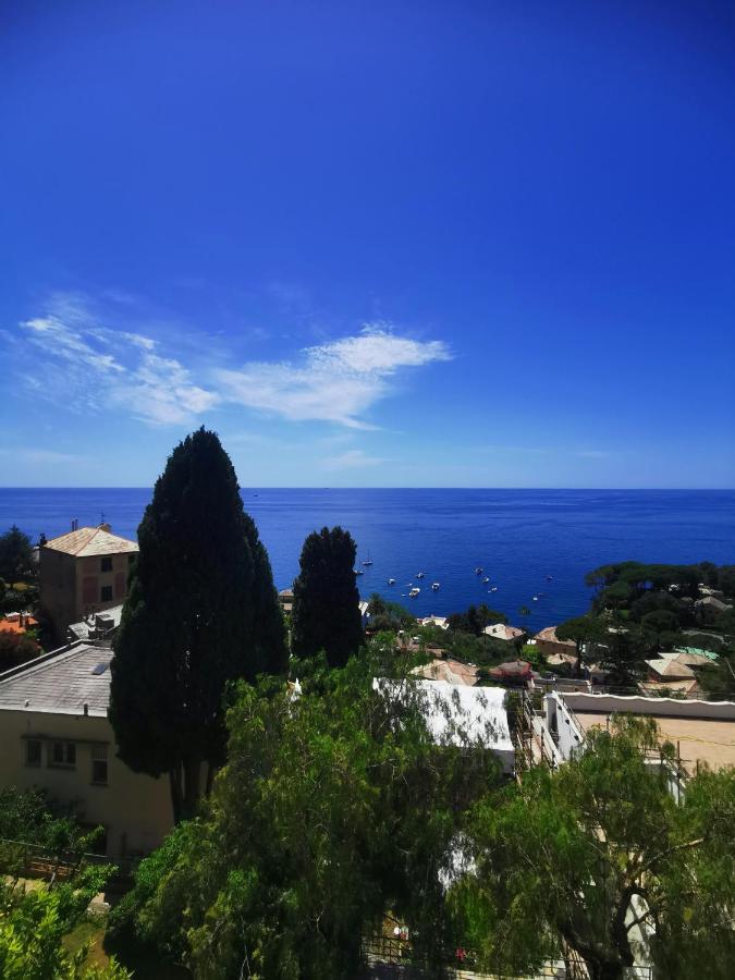 Marenostrum Pieve Ligure Bagian luar foto